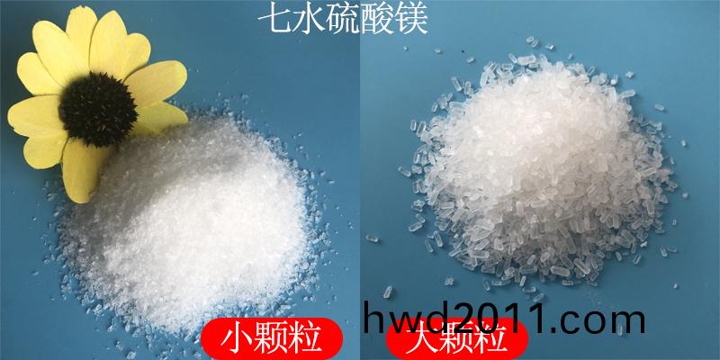 未標題-1.jpg